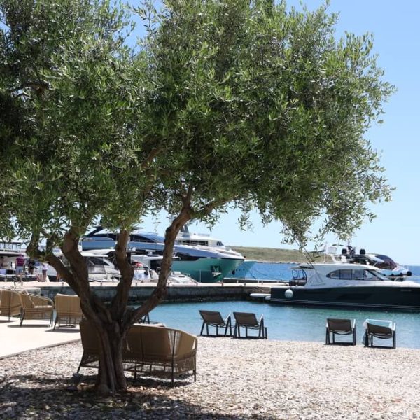 konob zakan 2025 (7)